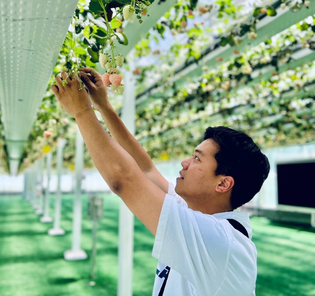 傅昊韋創(chuàng)新技術(shù)優(yōu)化草莓種植 學(xué)校供圖.jpg 傅昊韋創(chuàng)新技術(shù)優(yōu)化草莓種植 學(xué)校供圖.jpg