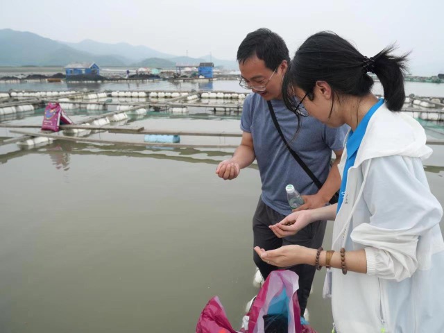 寧波大學海洋學院深耕黃金海岸隊調研考察大黃魚人工養殖情況 學校供圖.jpg