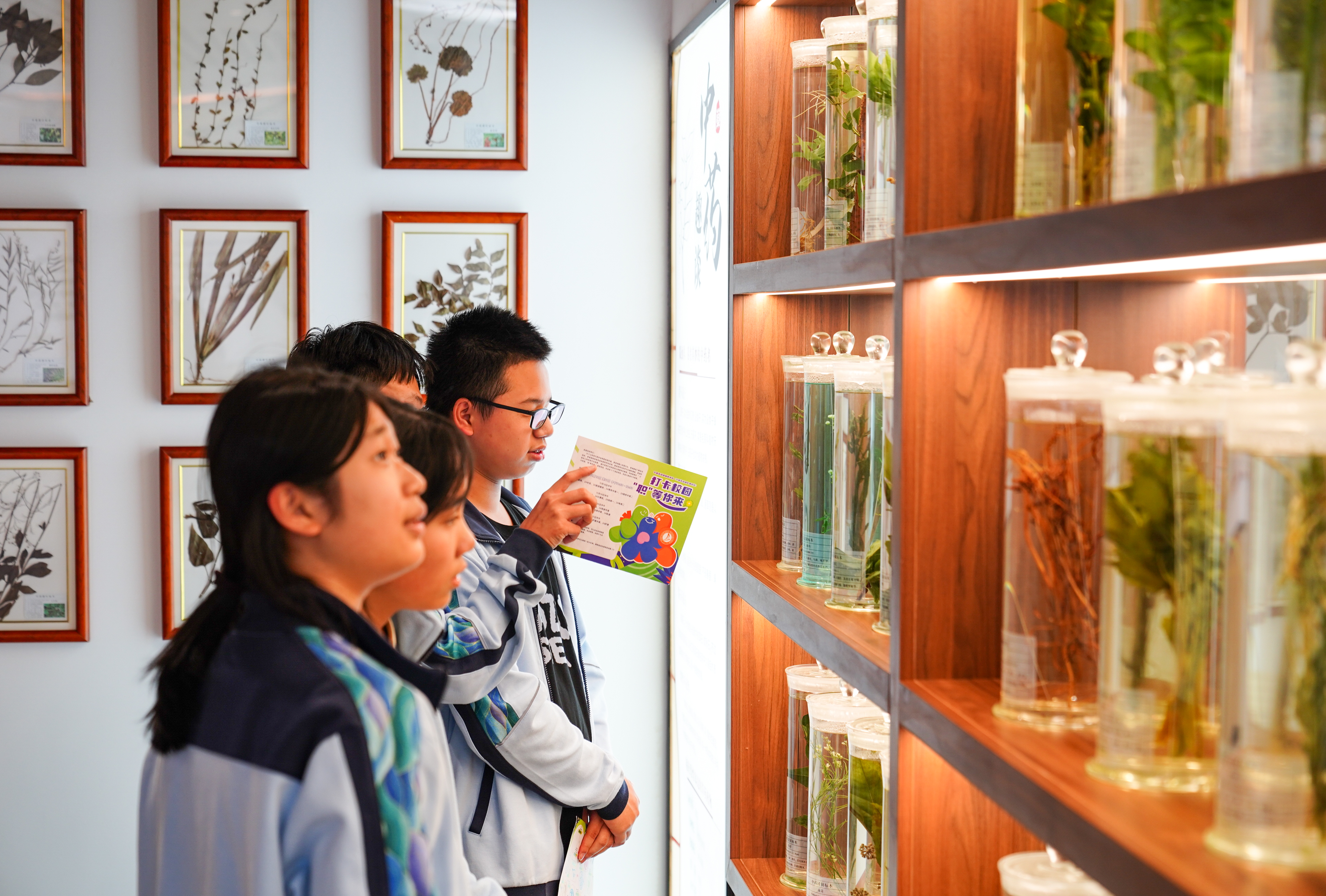 寧波東錢湖旅游學校學生參觀學校中醫藥陳列館 胡佳 攝.jpg