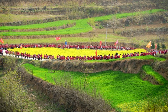 DSC00595.JPG DSC00595.JPG