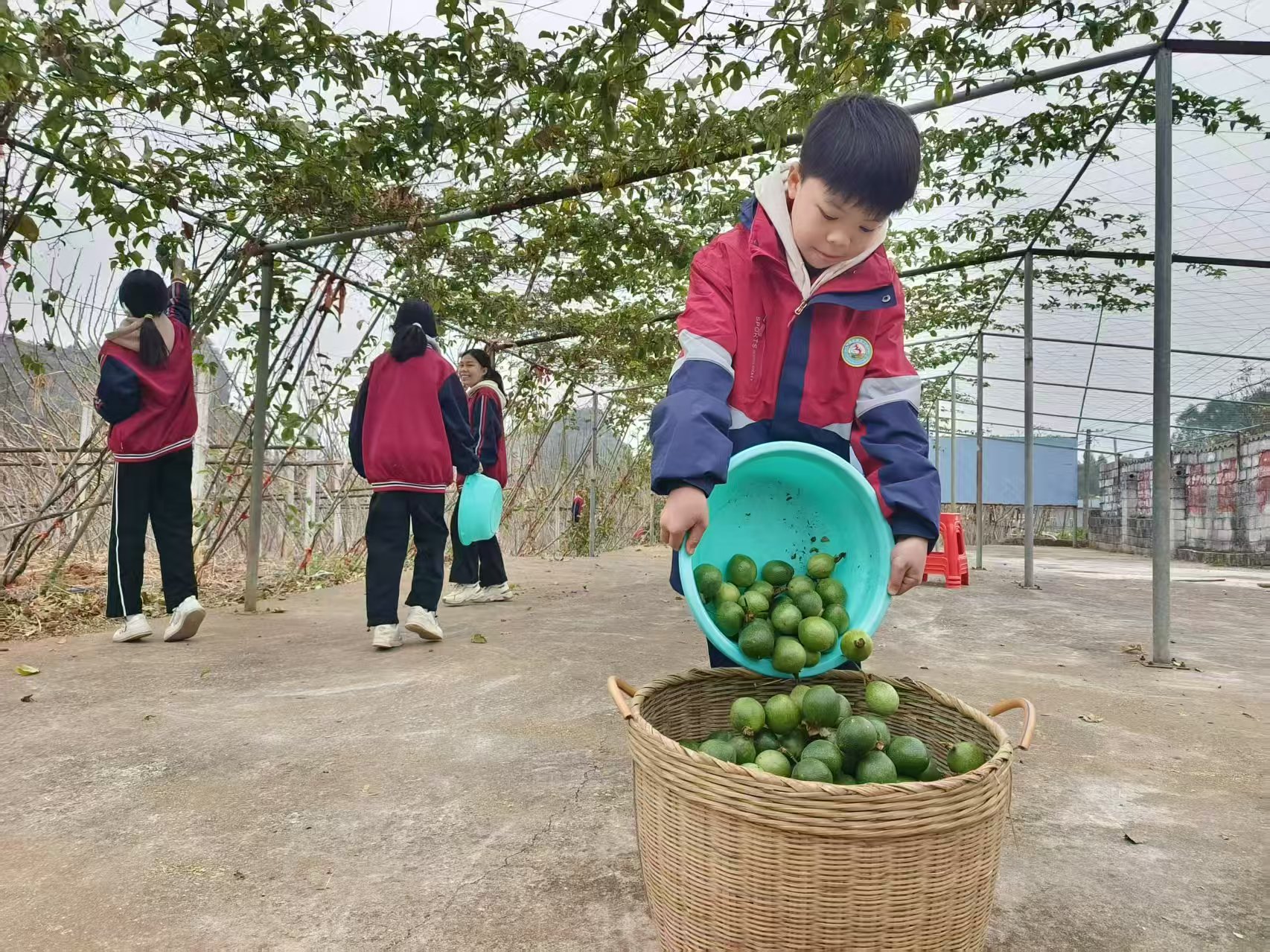 覃塘區(qū)勞動教育.jpg 覃塘區(qū)勞動教育.jpg