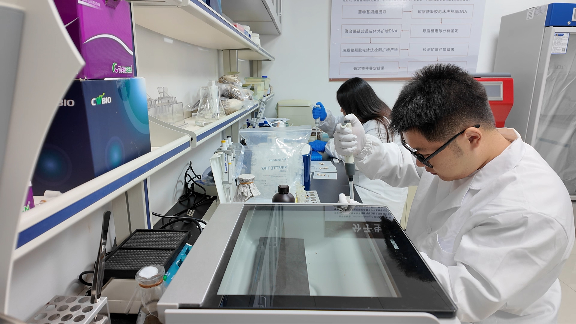 6.入駐浙江慶元香菇科技小院的研究生正在開展相關(guān)實(shí)驗(yàn).jpg 6.入駐浙江慶元香菇科技小院的研究生正在開展相關(guān)實(shí)驗(yàn).jpg